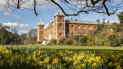 Osterley House with yellow daffodils in the foreground